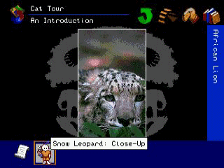 klein_animals_cd_03.gif