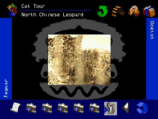 klein_animals_cd_04.gif