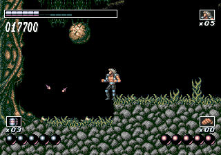 klein_wolfchild_cd_05.gif