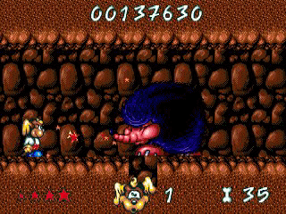 klein_wonder_dog_cd_06.gif