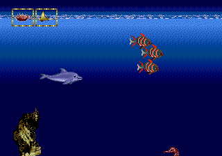 logo_ecco_jr_02.gif