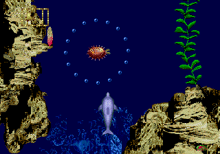 logo_ecco_jr_03.gif