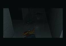 klein_d_02.jpg