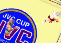 klein_victory_boxing_05.jpg