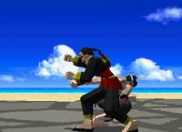 klein_virtua_fighter_08.jpg